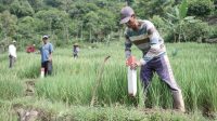 Kementerian ATR/BPN Ajak Masyarakat Jaga Hak Atas Tanah Melalui Gerakan Pasang Tanda Batas