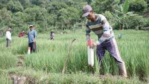 Kementerian ATR/BPN Ajak Masyarakat Jaga Hak Atas Tanah Melalui Gerakan Pasang Tanda Batas