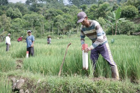 Kementerian ATR/BPN Ajak Masyarakat Jaga Hak Atas Tanah Melalui Gerakan Pasang Tanda Batas