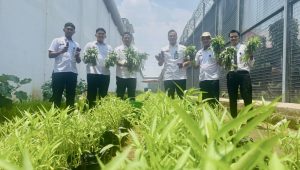 Bukan Sekadar Tanam, Pembinaan Pertanian Rutan Depok Siapkan WBP Jadi Mandiri