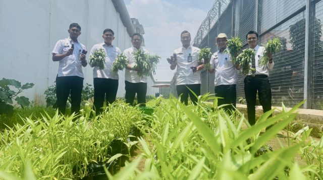 Bukan Sekadar Tanam, Pembinaan Pertanian Rutan Depok Siapkan WBP Jadi Mandiri