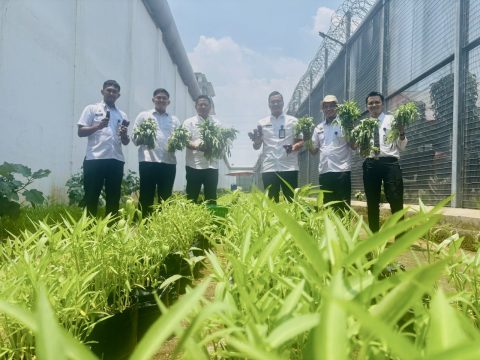 Bukan Sekadar Tanam, Pembinaan Pertanian Rutan Depok Siapkan WBP Jadi Mandiri