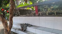 9744a987-e19e-4327-8c44-25ae52b0102d Disdik Depok Klarifikasi Insiden Tembok Ambruk di SDN Tapos 3