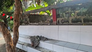 Disdik Depok Klarifikasi Insiden Tembok Ambruk di SDN Tapos 3